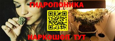 каннабис Аргун