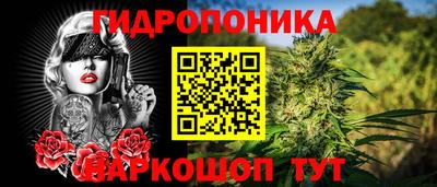 каннабис Аргун